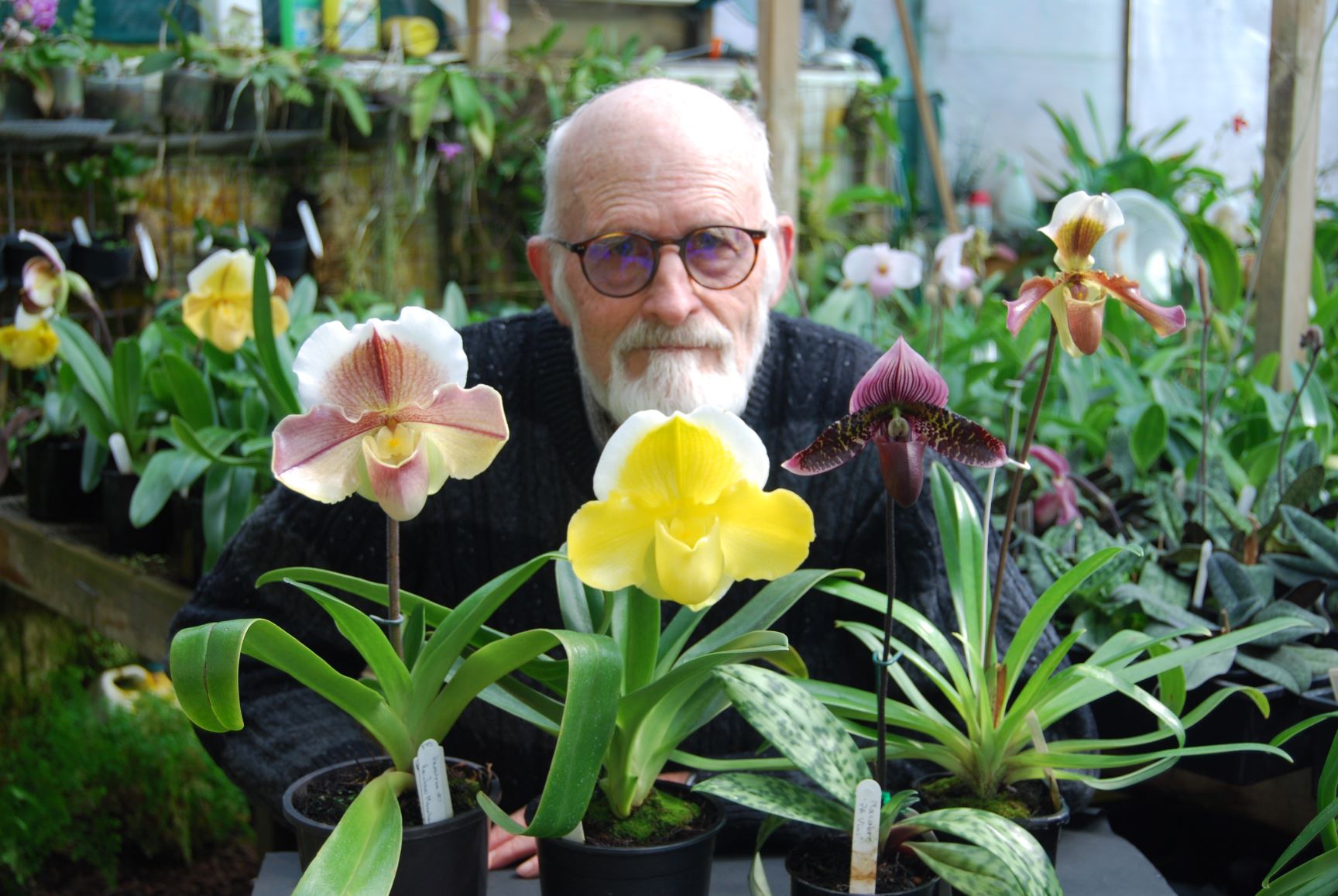orchid grower Selwyn Hatrick