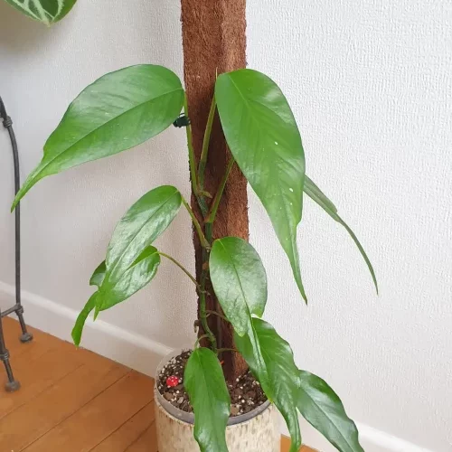 20221125_110736 copy